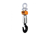 Весы крановые промышленные CAS 30 THD RF Caston III (с пультом управления TW-100)