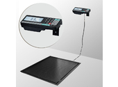 Весы платформенные врезные Масса-К 4D-PMF-20/15-3000-RA